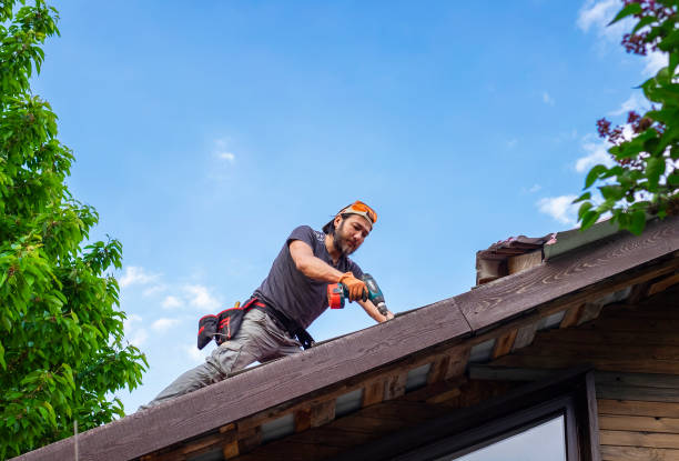 Fast & Reliable Emergency Roof Repairs in Alameda, CA